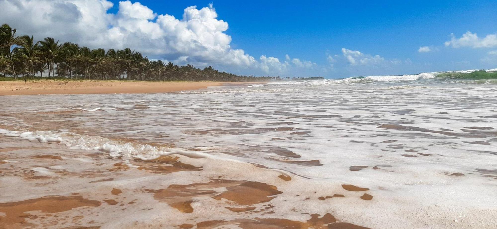 Camaçari Chale Brisa Mar Pe Na Areia Em Barra Do Jacuipeヴィラ エクステリア 写真