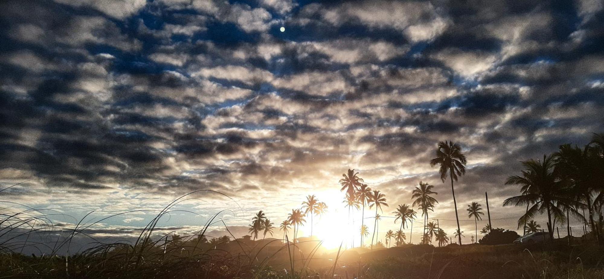 Camaçari Chale Brisa Mar Pe Na Areia Em Barra Do Jacuipeヴィラ エクステリア 写真