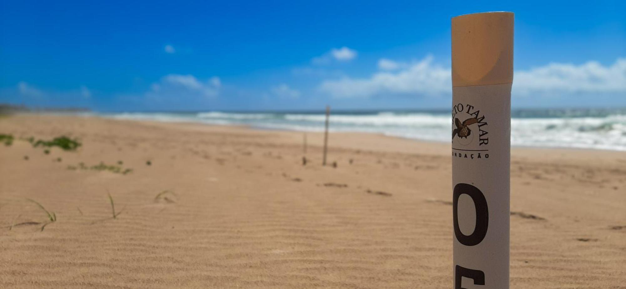 Camaçari Chale Brisa Mar Pe Na Areia Em Barra Do Jacuipeヴィラ エクステリア 写真